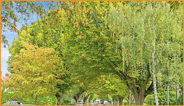 Sustainability Aran Esg Commitment (2)